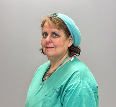 איילה ליפשיץ